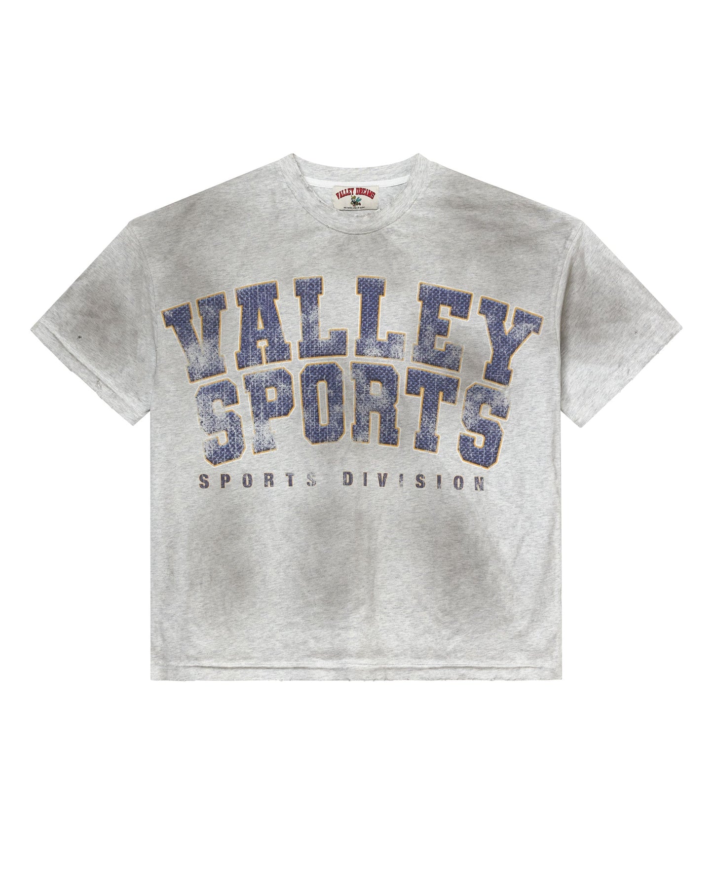 SPORTS DIVISION TEE [GYM GREY]
