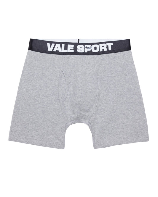 VALE SPORT BRIEFS PACK OF 3 GREY